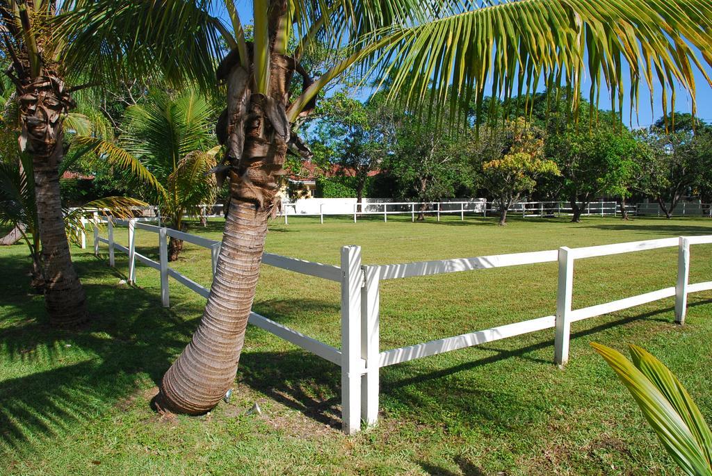 La Finca Miami Kültér fotó