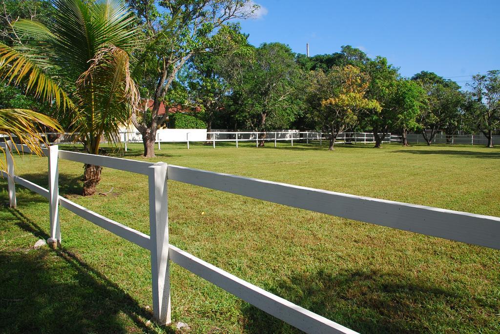 La Finca Miami Kültér fotó